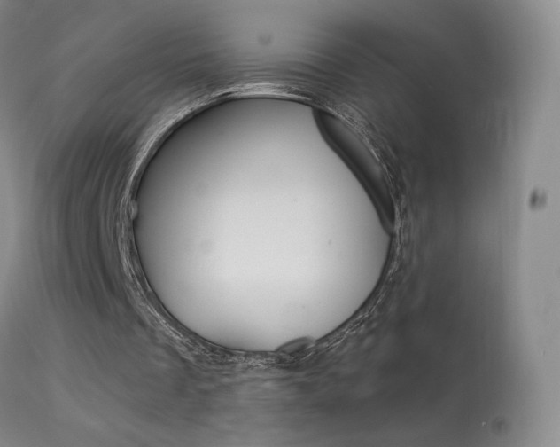 X0000113610289200909181058