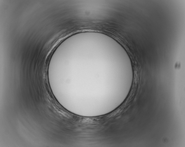 X0000113610290200909181058