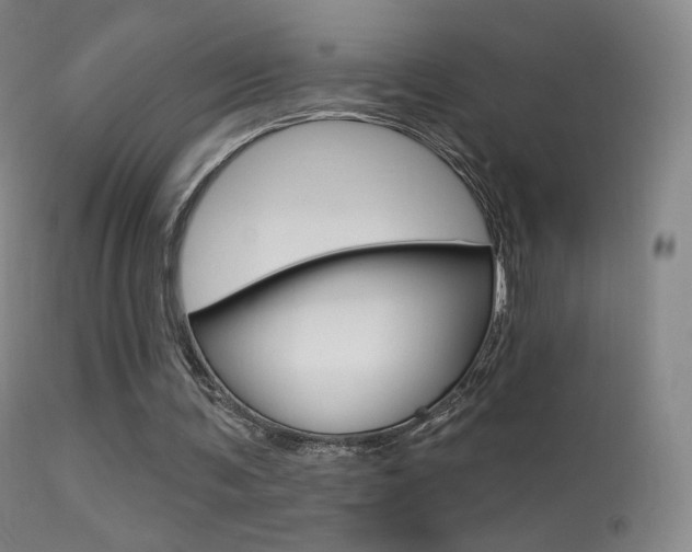 X0000113610291200909181058