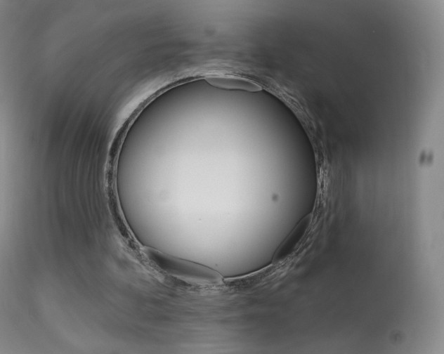 X0000113610292200909181058