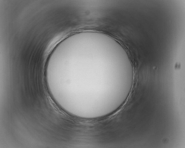 X0000113610293200909181058