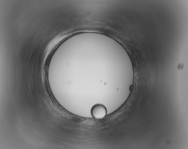 X0000113610294200909181058