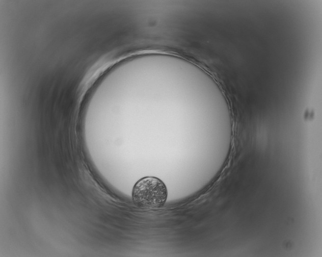X0000113610296200909181058