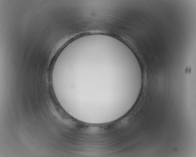 X0000113610298200909181058