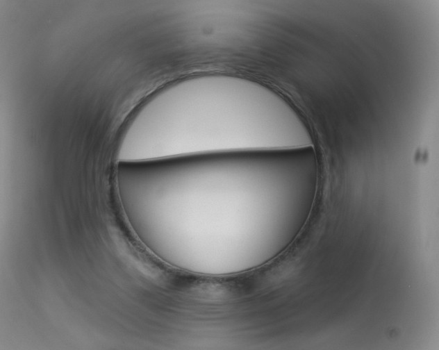 X0000113610299200909181058
