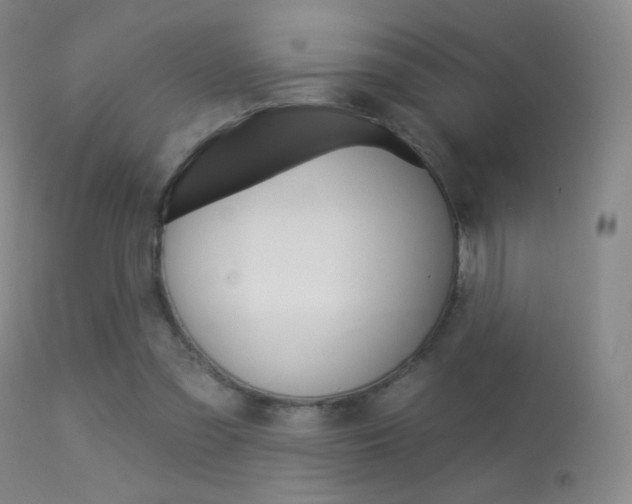 X0000113610301200909181058