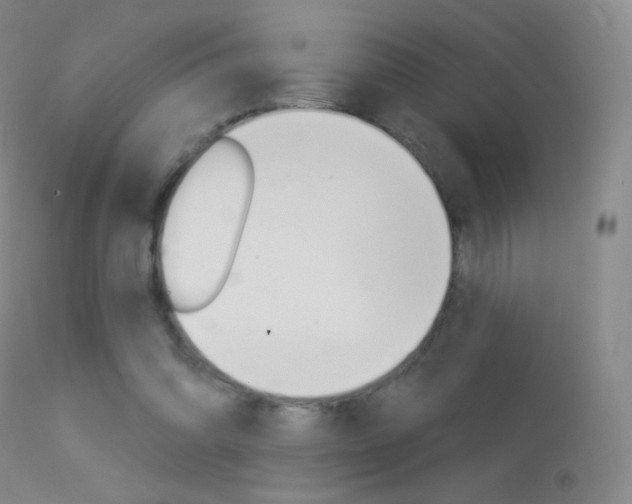 X0000113610302200909181058