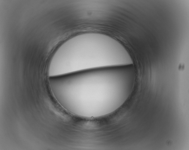 X0000113610303200909181058