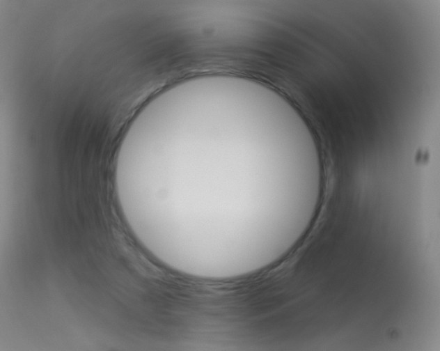 X0000113610305200909181058