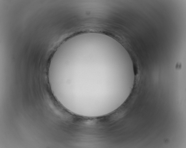 X0000113610306200909181058