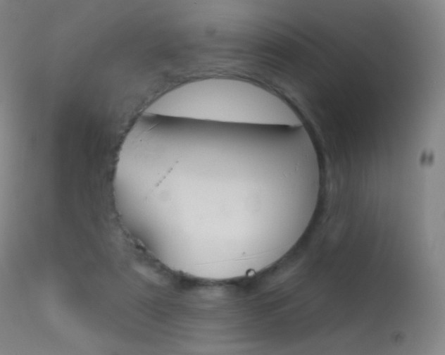 X0000113610307200909181058