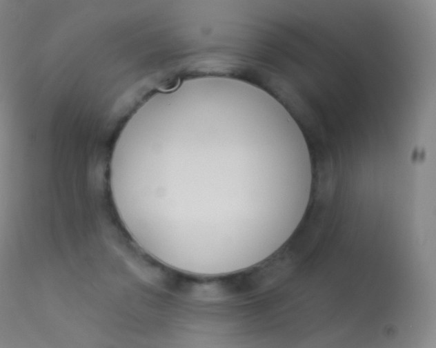 X0000113610309200909181058
