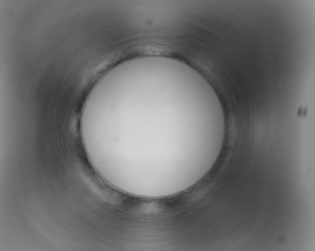 X0000113610310200909181058