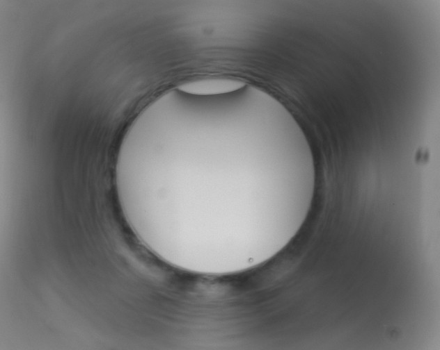 X0000113610311200909181058
