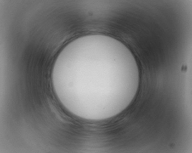 X0000113610312200909181058