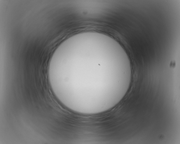 X0000113610313200909181058