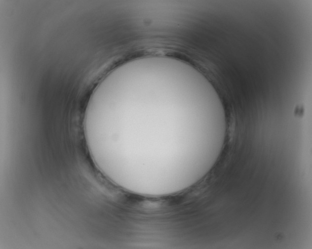 X0000113610314200909181058