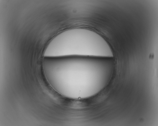 X0000113610315200909181058