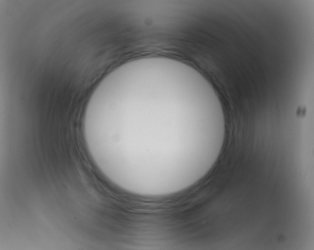 X0000113610316200909181058