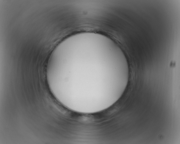 X0000113610317200909181058