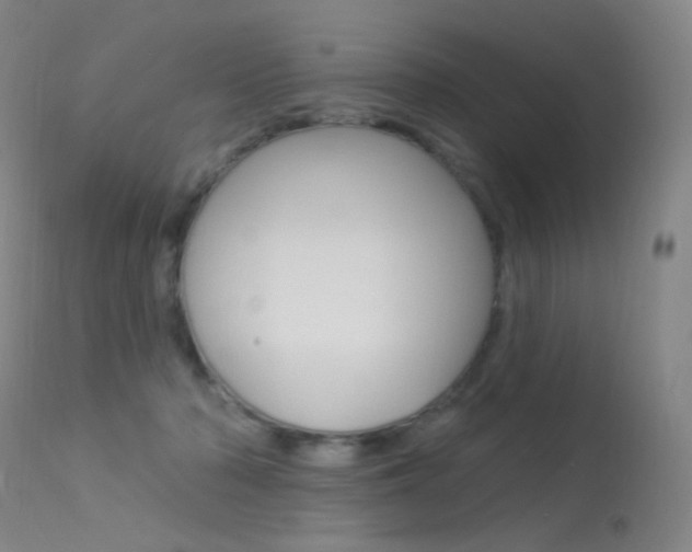 X0000113610318200909181058