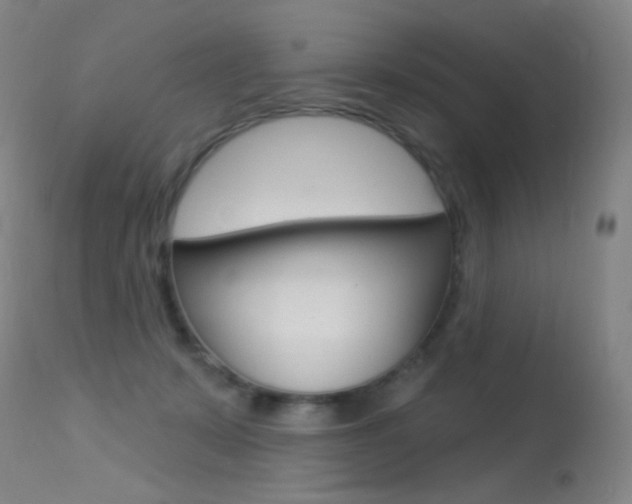 X0000113610319200909181058