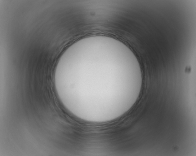 X0000113610320200909181058