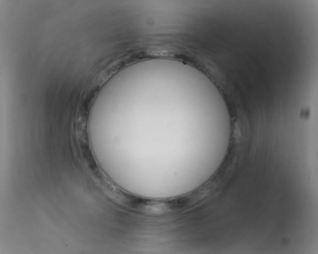 X0000113610322200909181058