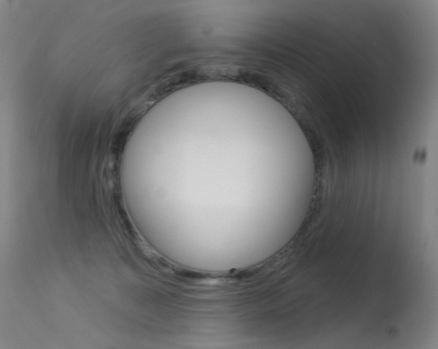 X0000113610323200909181058