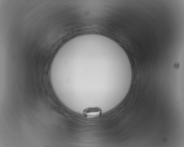 X0000113610324200909181058
