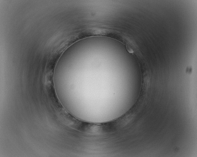 X0000113610325200909181058