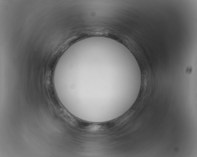 X0000113610326200909181058