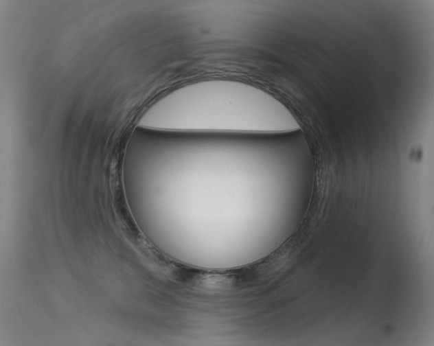 X0000113610327200909181058