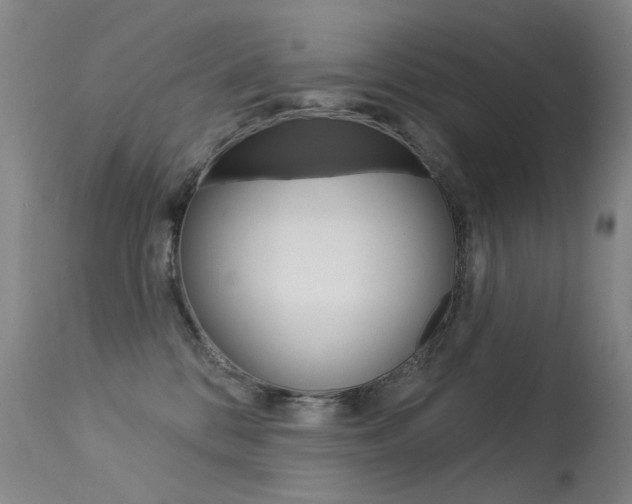 X0000113610328200909181058