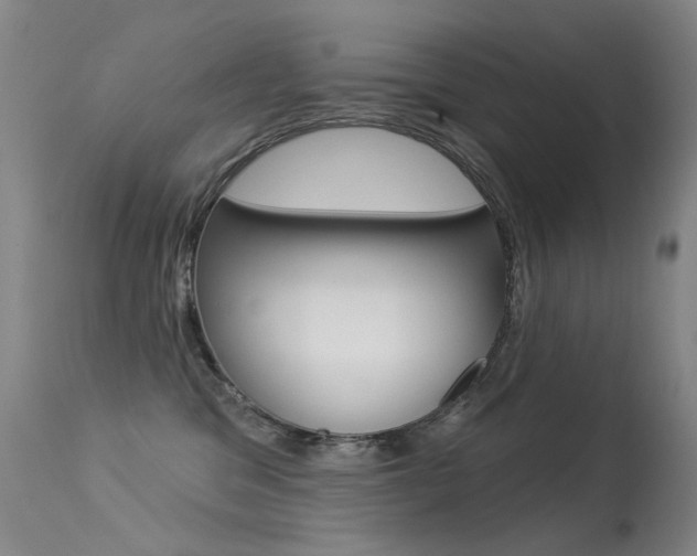 X0000113610329200909181058