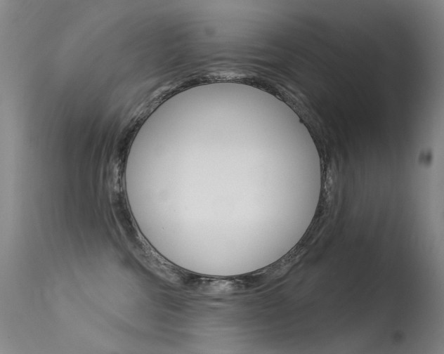 X0000113610330200909181058