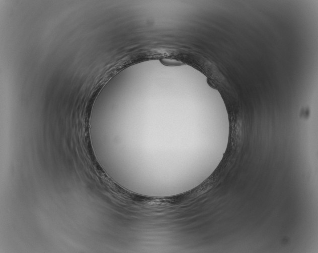 X0000113610331200909181058