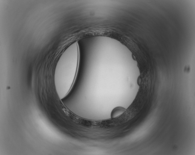 X0000113610335200909181058