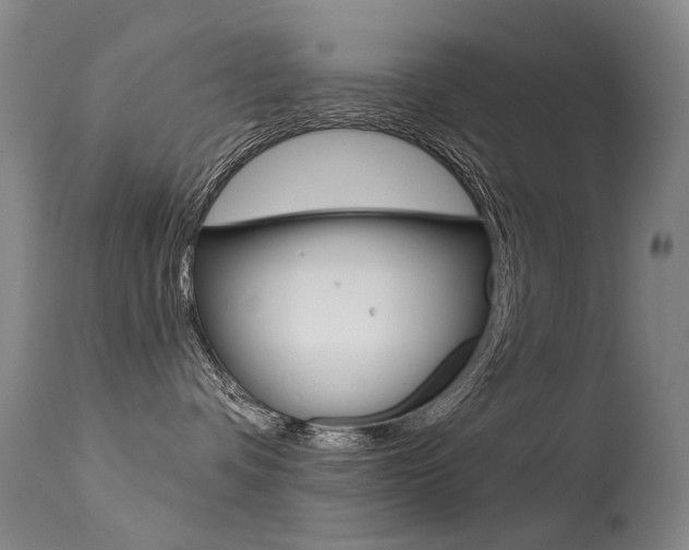 X0000113610336200909181058