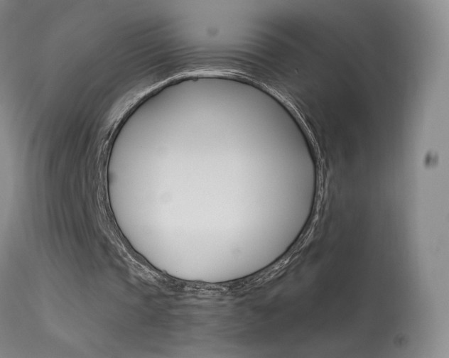 X0000113610337200909181057