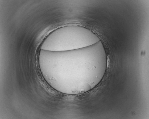 X0000113610339200909181057
