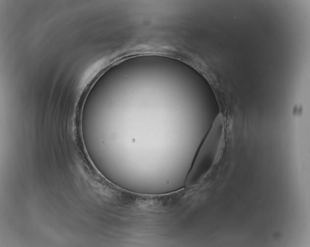 X0000113610340200909181057