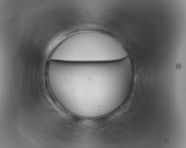 X0000113610341200909181057