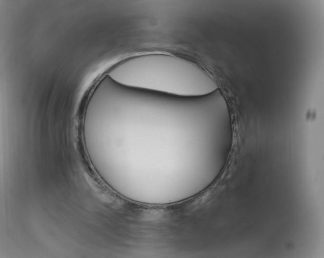 X0000113610342200909181057