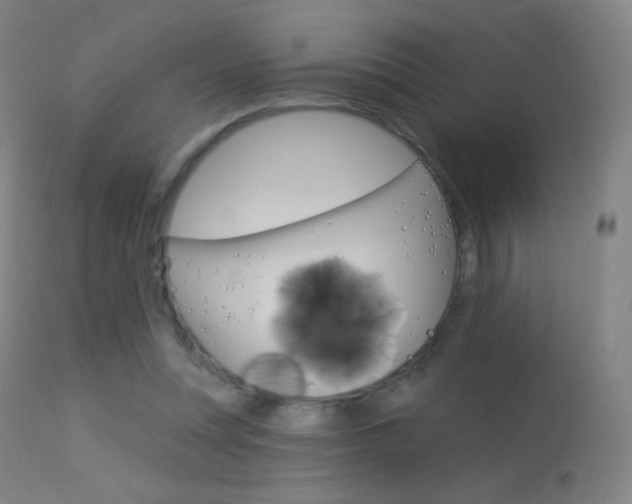 X0000113610351200909181057