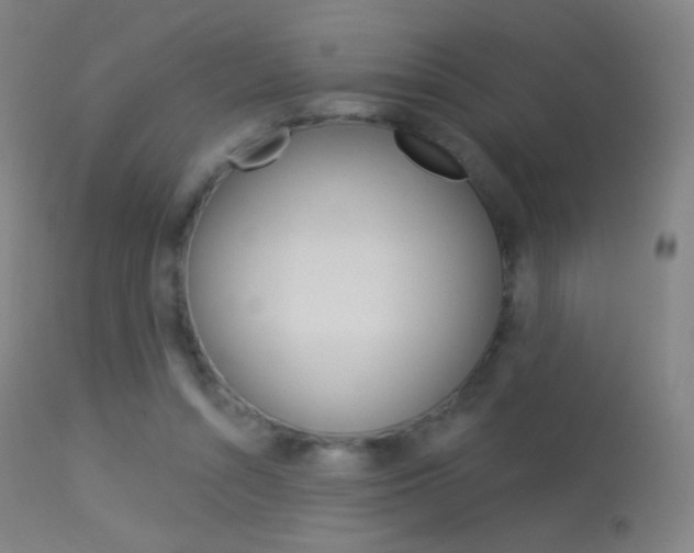 X0000113610352200909181057