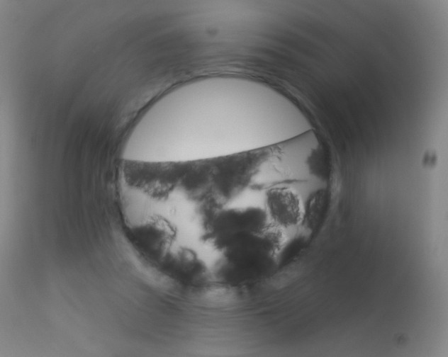 X0000113610353200909181057