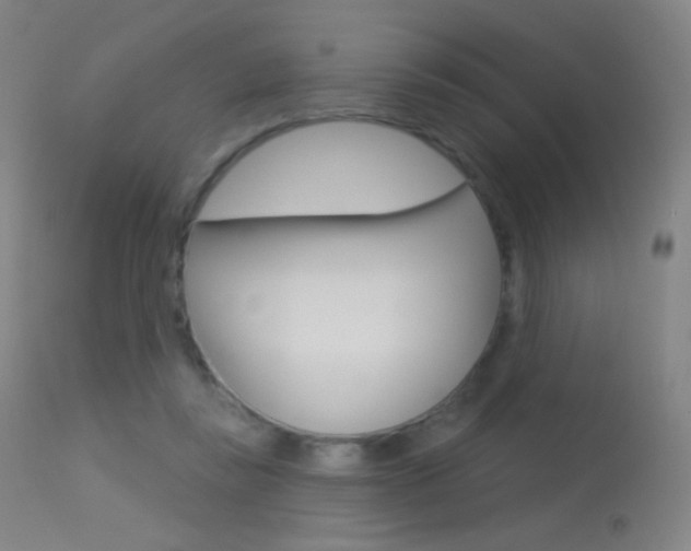 X0000113610355200909181057