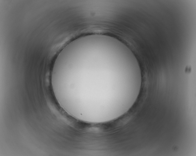 X0000113610358200909181057