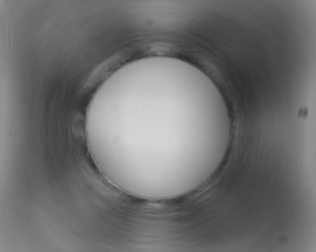 X0000113610361200909181057